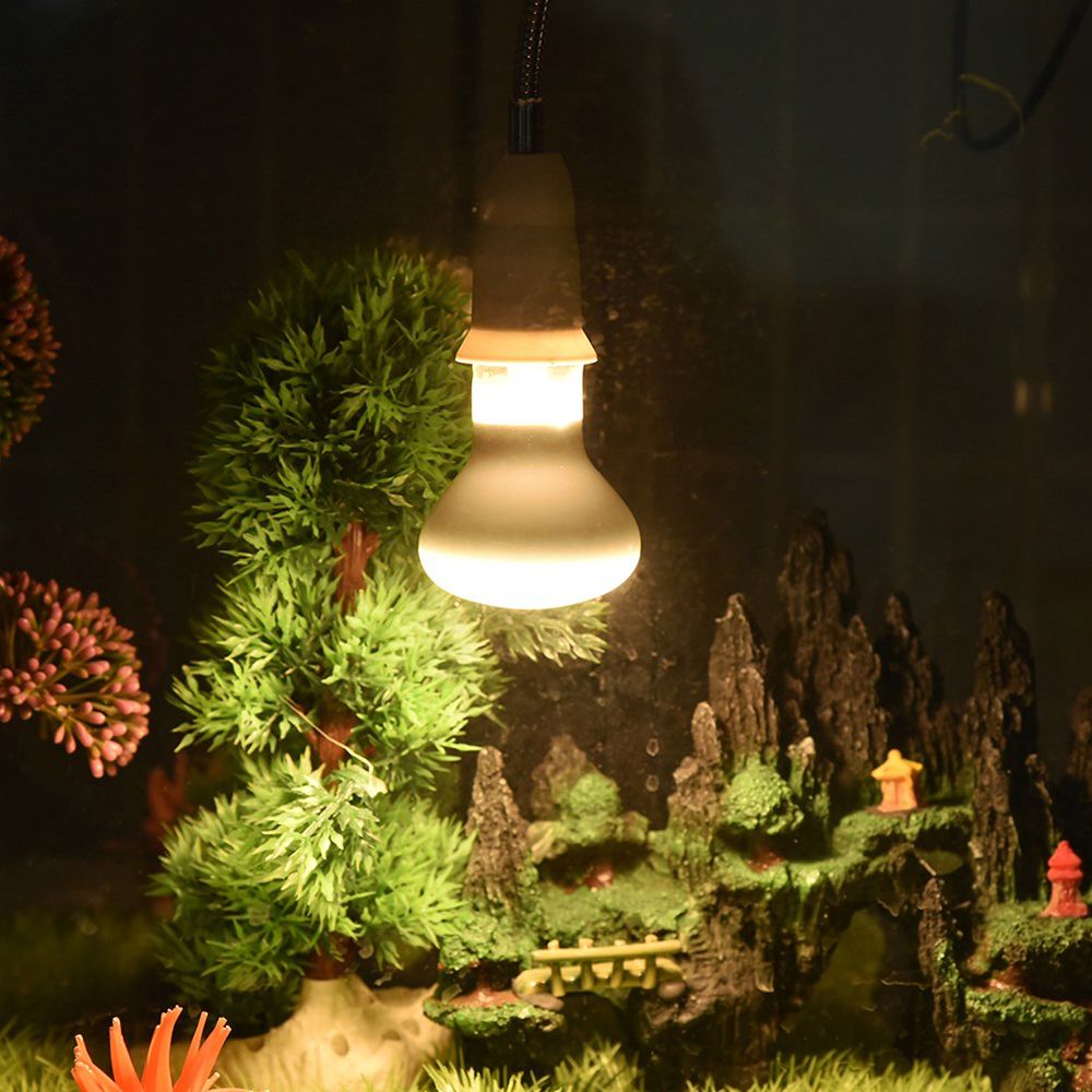 Basking Bulb Halogen - Lampu Pemanas Amfibi Lampu UVA Lampu