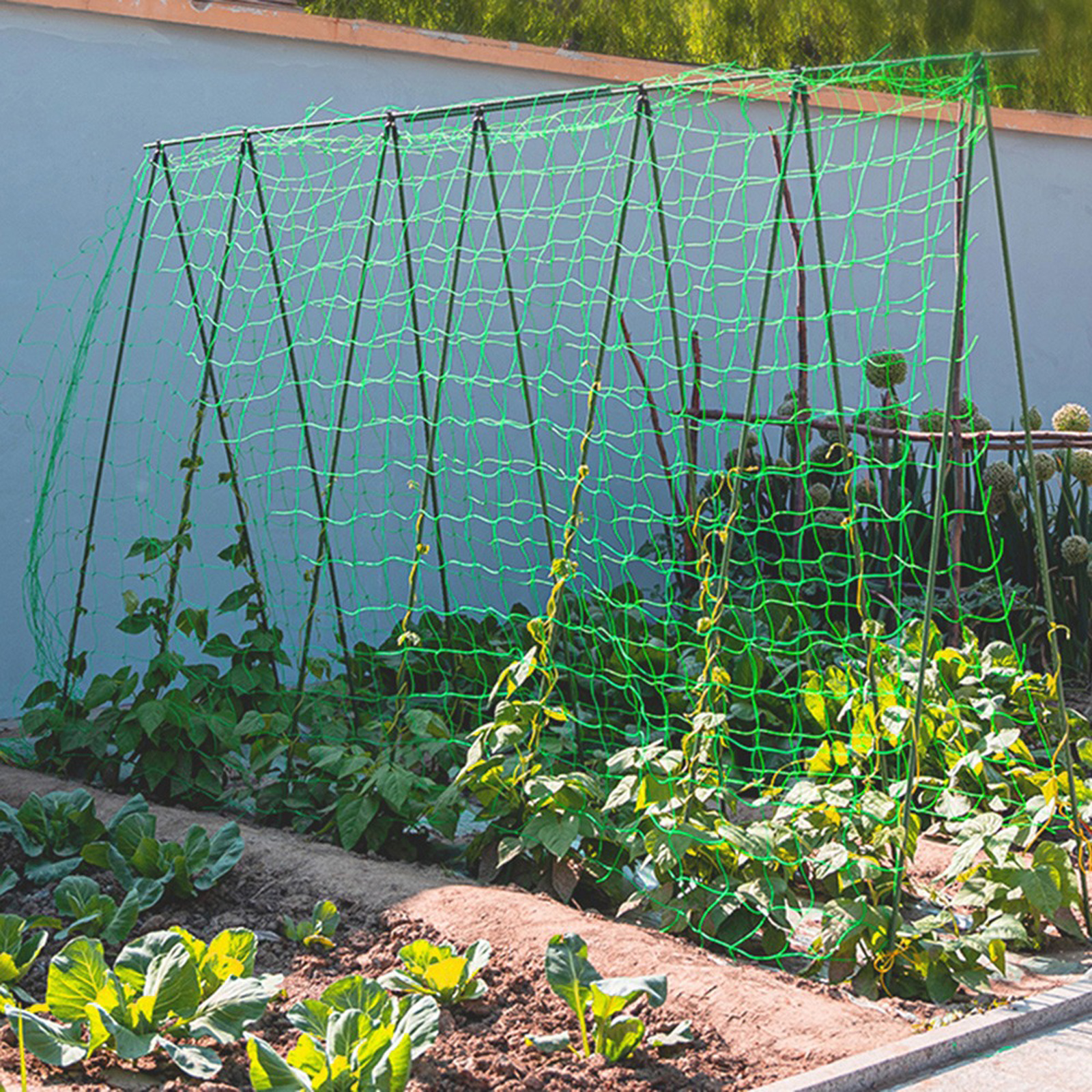 Vine Climbing Plastic - Pegangan penumbuh tanaman jaring taman pegangan