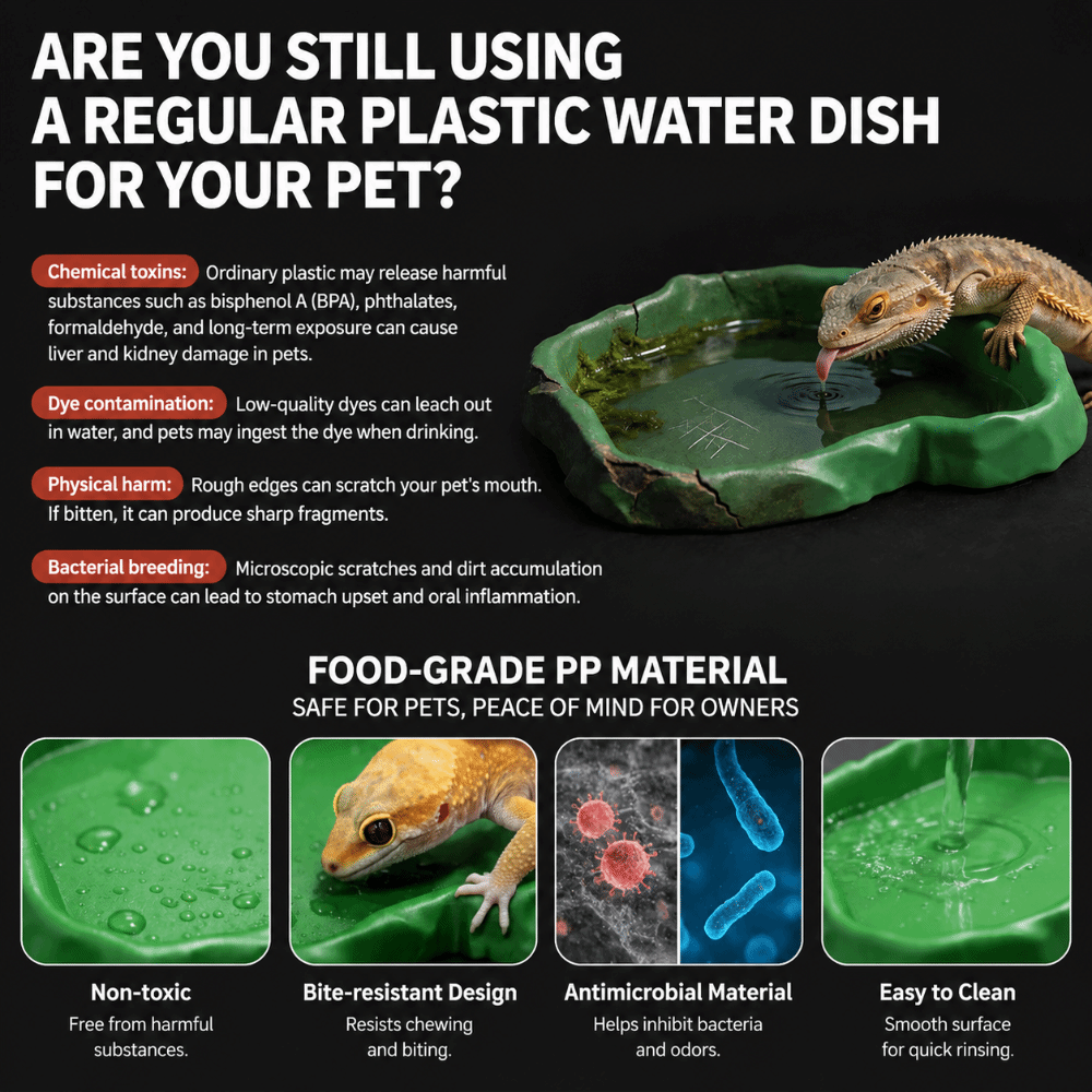 Water Dish Reptile - Mangkuk Pakan Reptil Resin ABS Tekstur