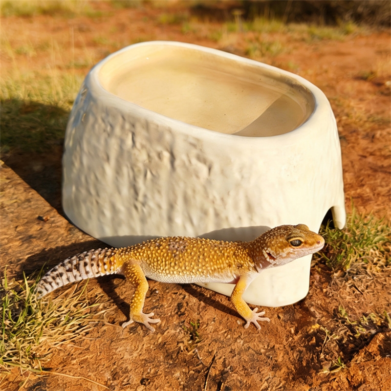 Hide Cave Ceramic - Gua Keramik Motif Macan Tutul untuk