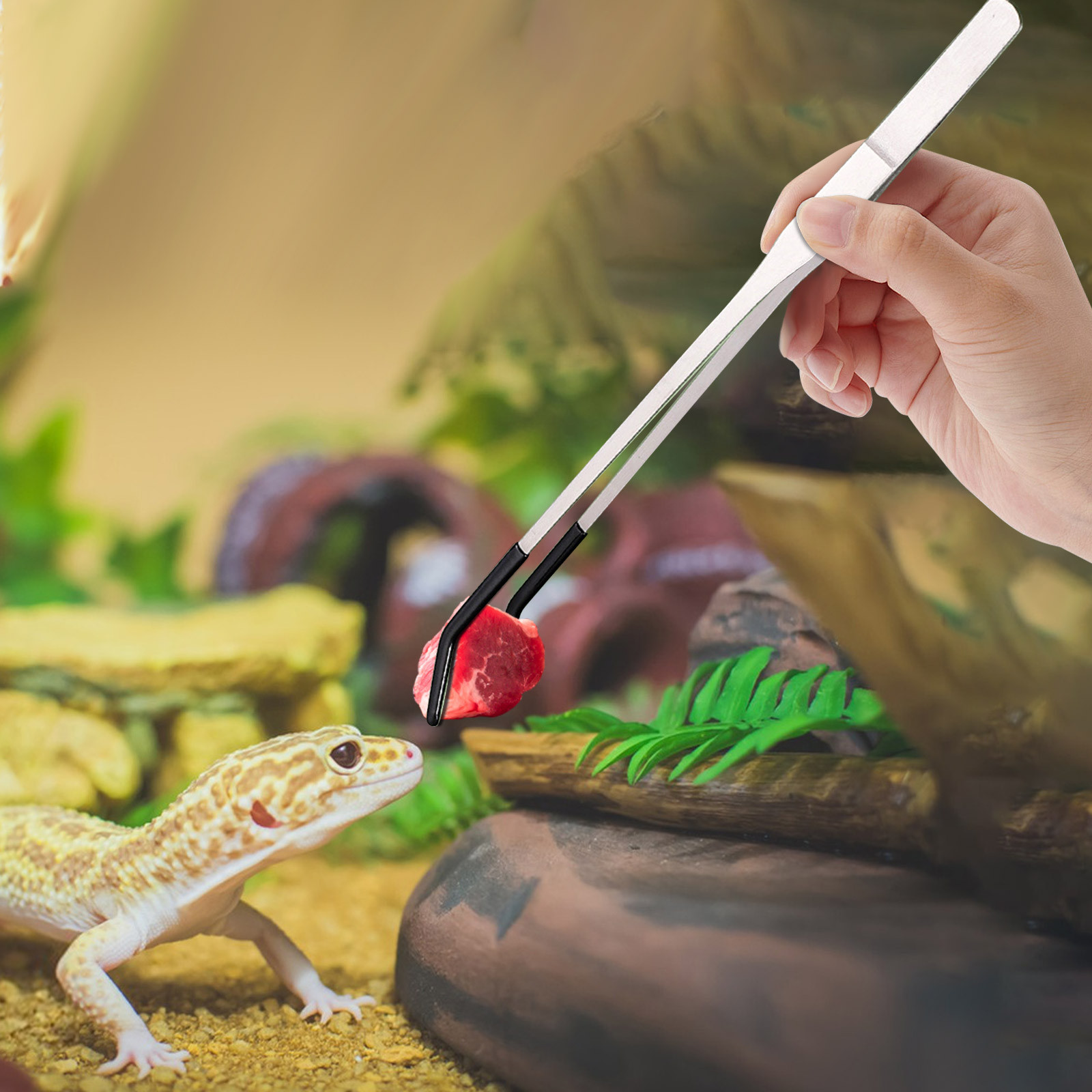 Feeding Tong Stainless - Pinset Penjepit Panjang Makan Reptil Baja