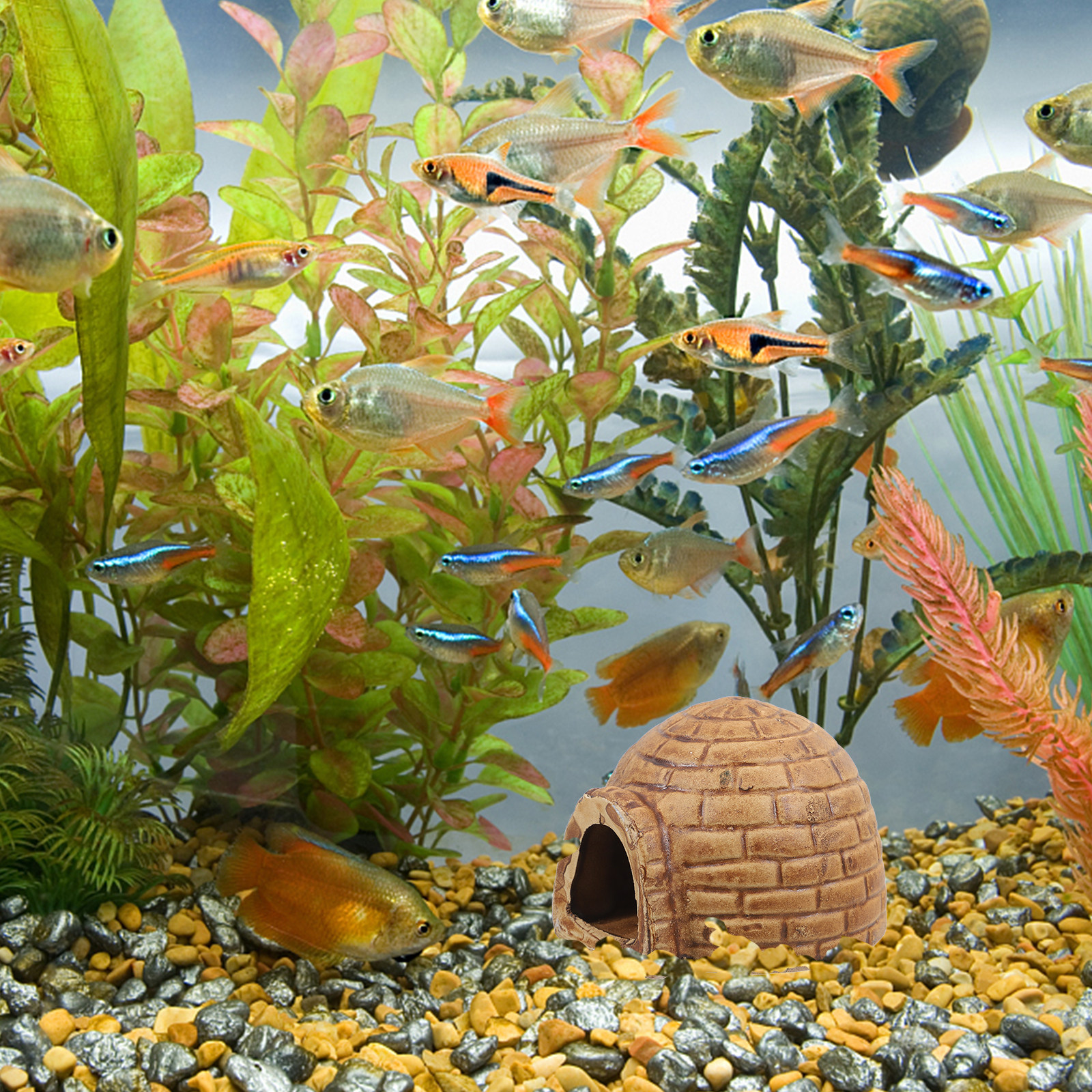 Hide Cave Ceramic - Gua Keramik untuk Ikan Pleco, Dekorasi
