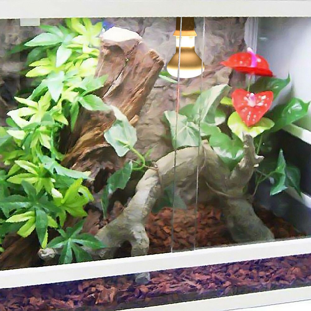 Basking Bulb Halogen - Pengontrol Suhu Kura-kura, Pemanas, Lampu UVA,