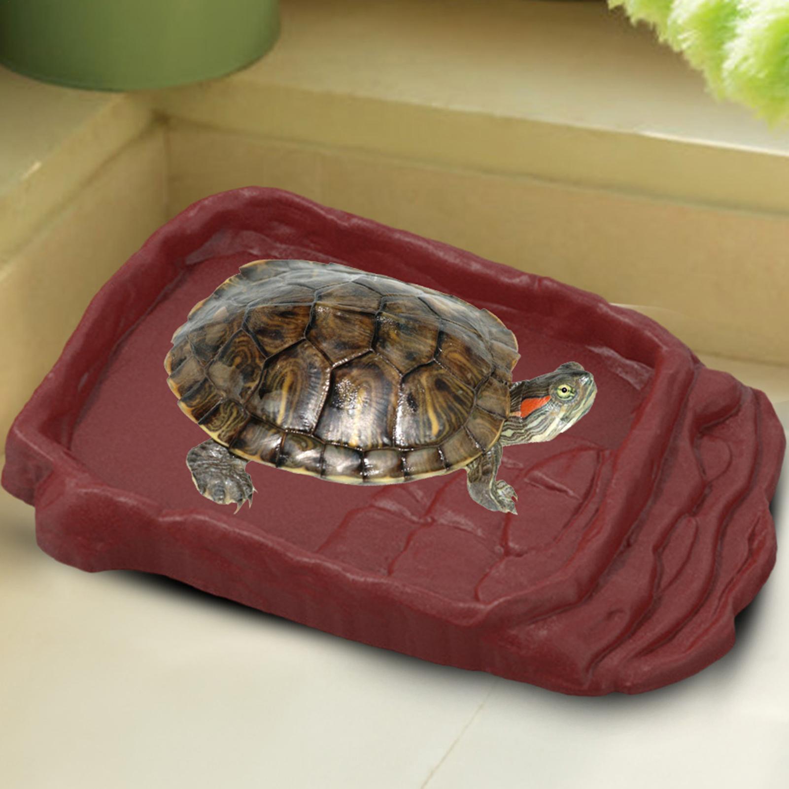 Water Dish Reptile - Tempat Mandi Kura-Kura, Wadah Air, Tangga