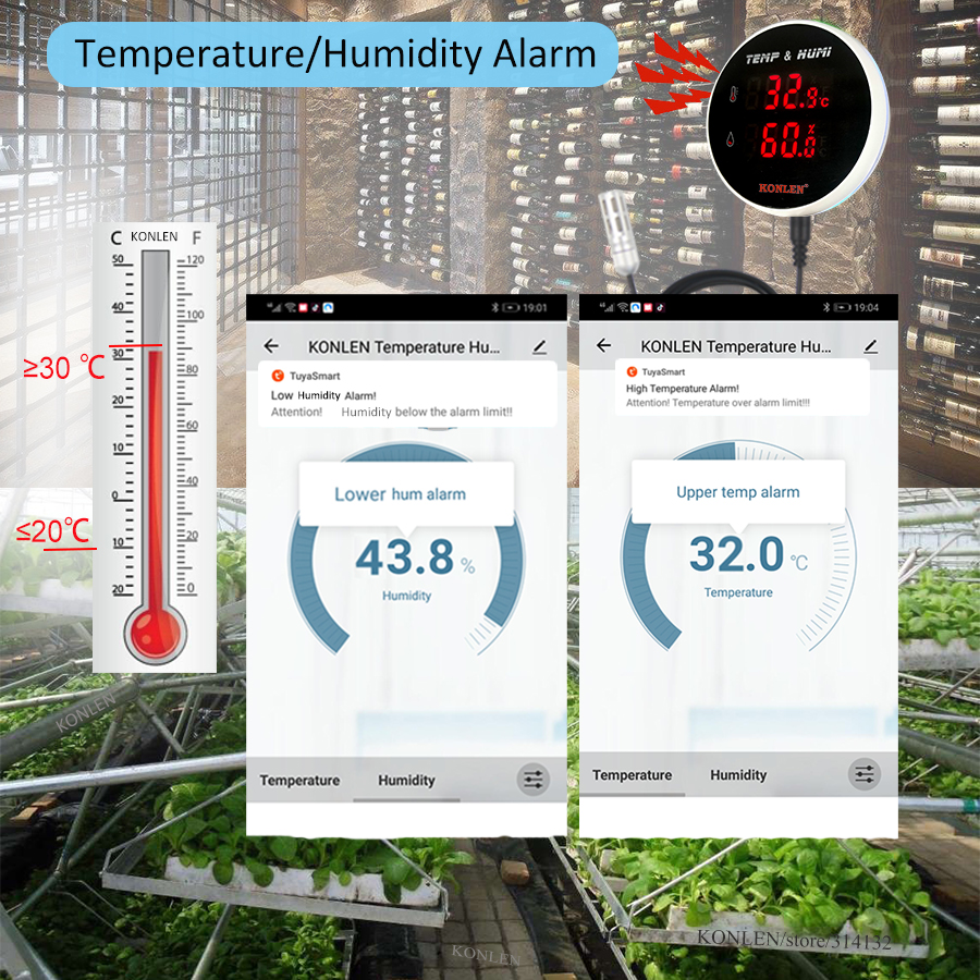 Tuya WIFI Sensor Kelembaban Su - Digital Hygrometer Probe ulasan dan harga