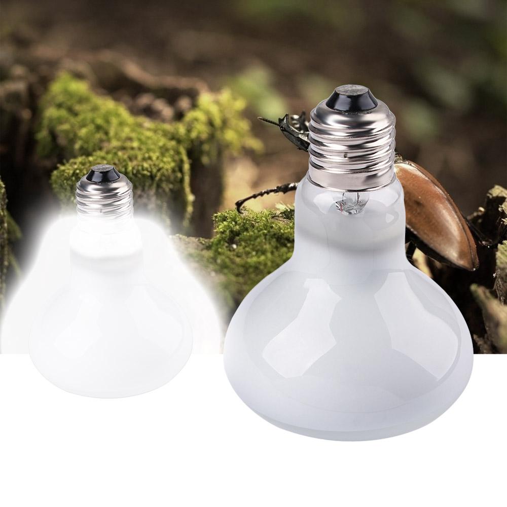 Lampu Pengontrol Suhu Kadal, L - Basking Bulb Halogen ulasan dan harga