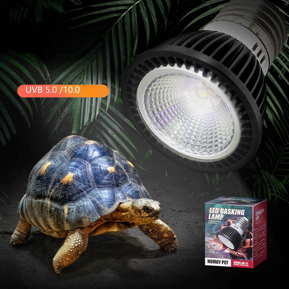 Reptil 110/220V UVB + UVA lamp - Calcium Powder Reptile ulasan dan harga