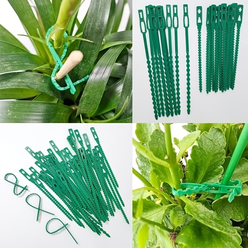 100 Buah Pengikat Tanaman Dapa - Vine Climbing Plastic ulasan dan harga