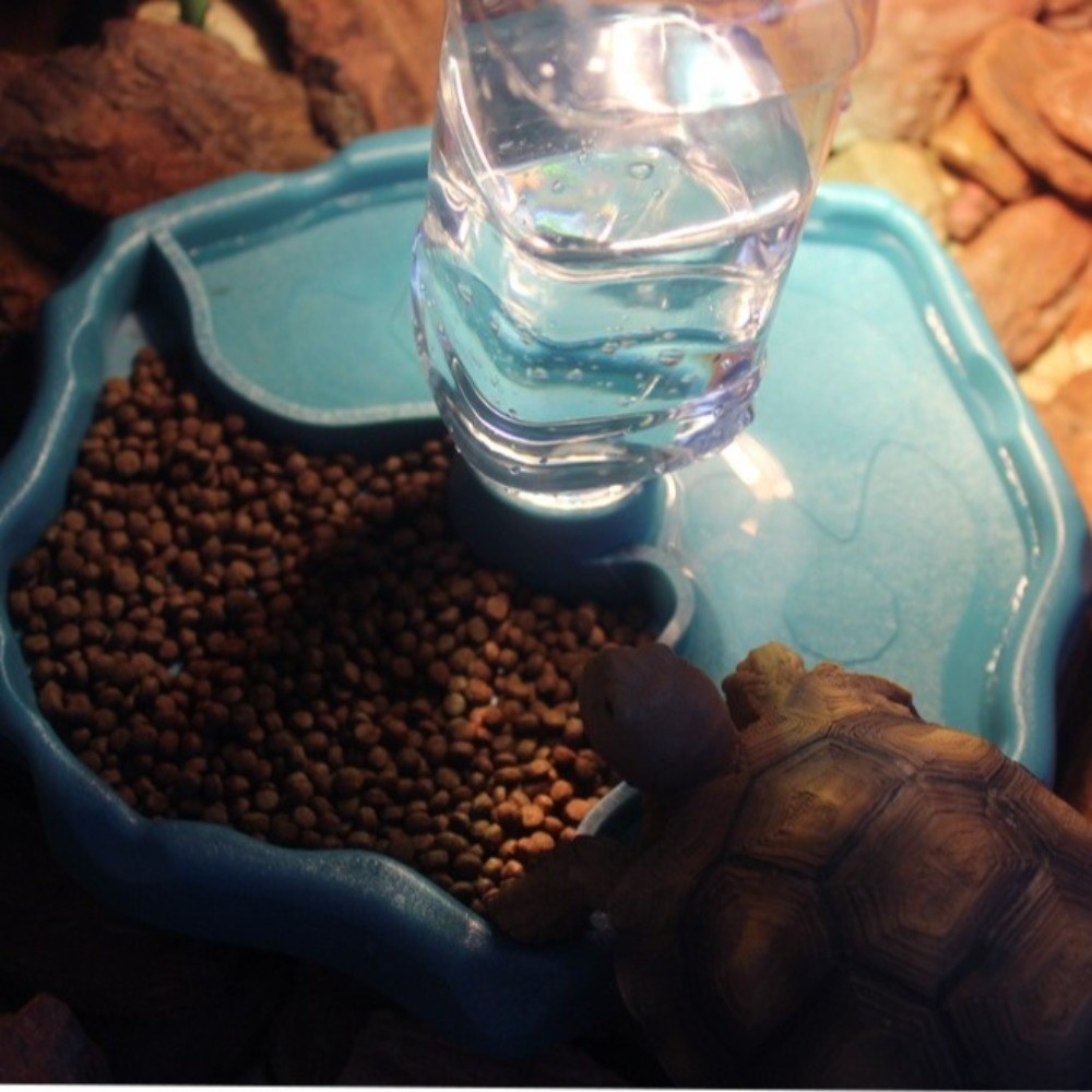 Tempat Makan Reptil Baru yang  - Water Dish Reptile ulasan dan harga