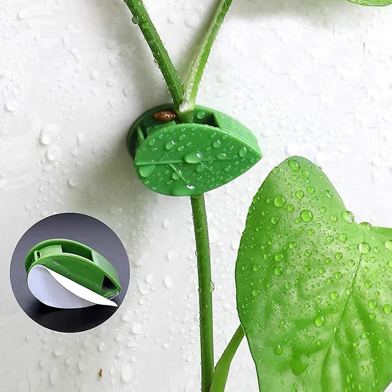10-90 Buah Klip Pengikat Tanam - Vine Climbing Plastic ulasan dan harga