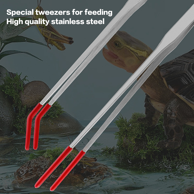 Alat Perawatan Akuarium dari B - Feeding Tong Stainless ulasan dan harga