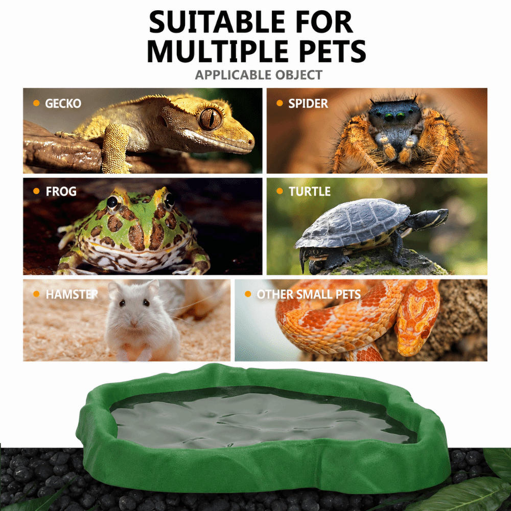 Mangkuk Pakan Reptil Resin ABS - Water Dish Reptile ulasan dan harga