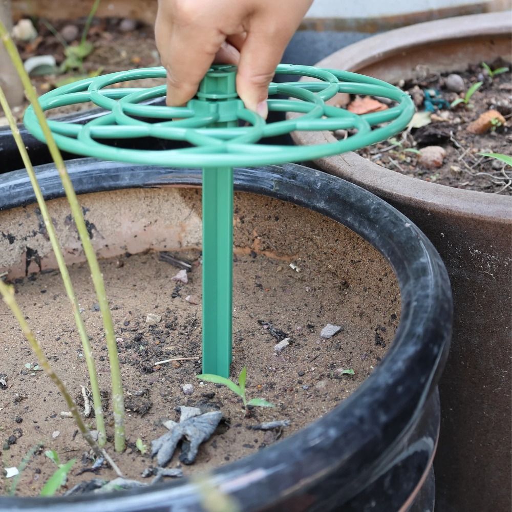 Rak Tanaman Plastik Bertumpuk  - Vine Climbing Plastic ulasan dan harga