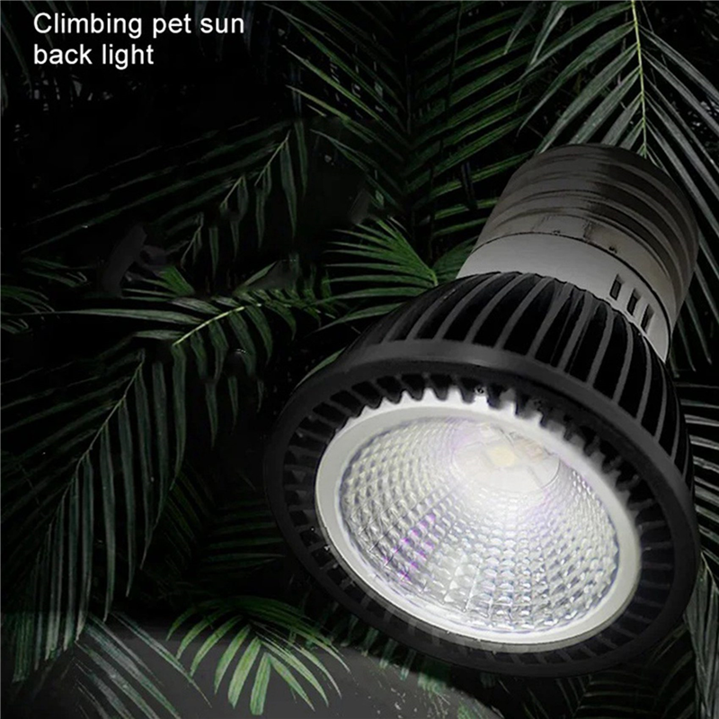A03F-5X 110V Lampu UVB Reptil  - Calcium Powder Reptile ulasan dan harga