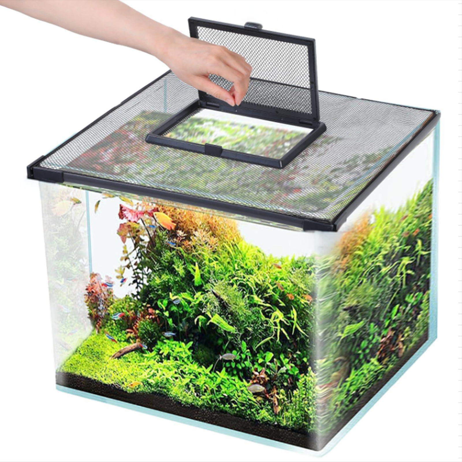 Jaring Pelindung Ikan untuk Tu - Screen Top Mesh ulasan dan harga