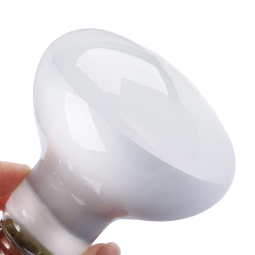 Pengontrol Suhu Pemanas Kura-k - Basking Bulb Halogen ulasan dan harga