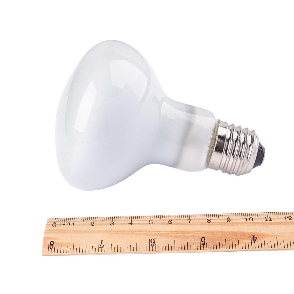 Pengontrol Suhu Pemanas Kura-k - Basking Bulb Halogen ulasan dan harga