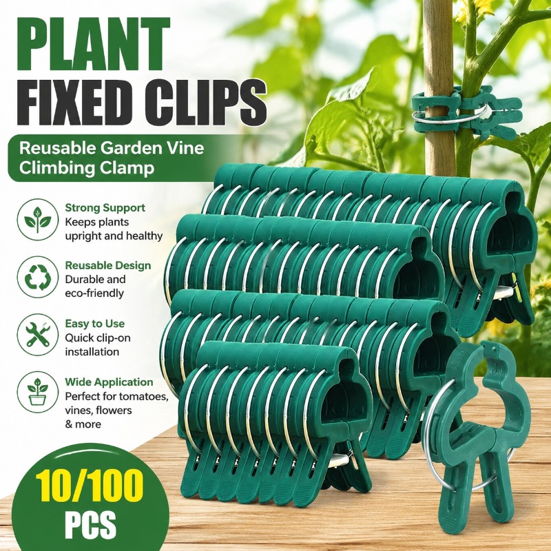 Penjepit Tanaman yang Dapat Di - Vine Climbing Plastic ulasan dan harga