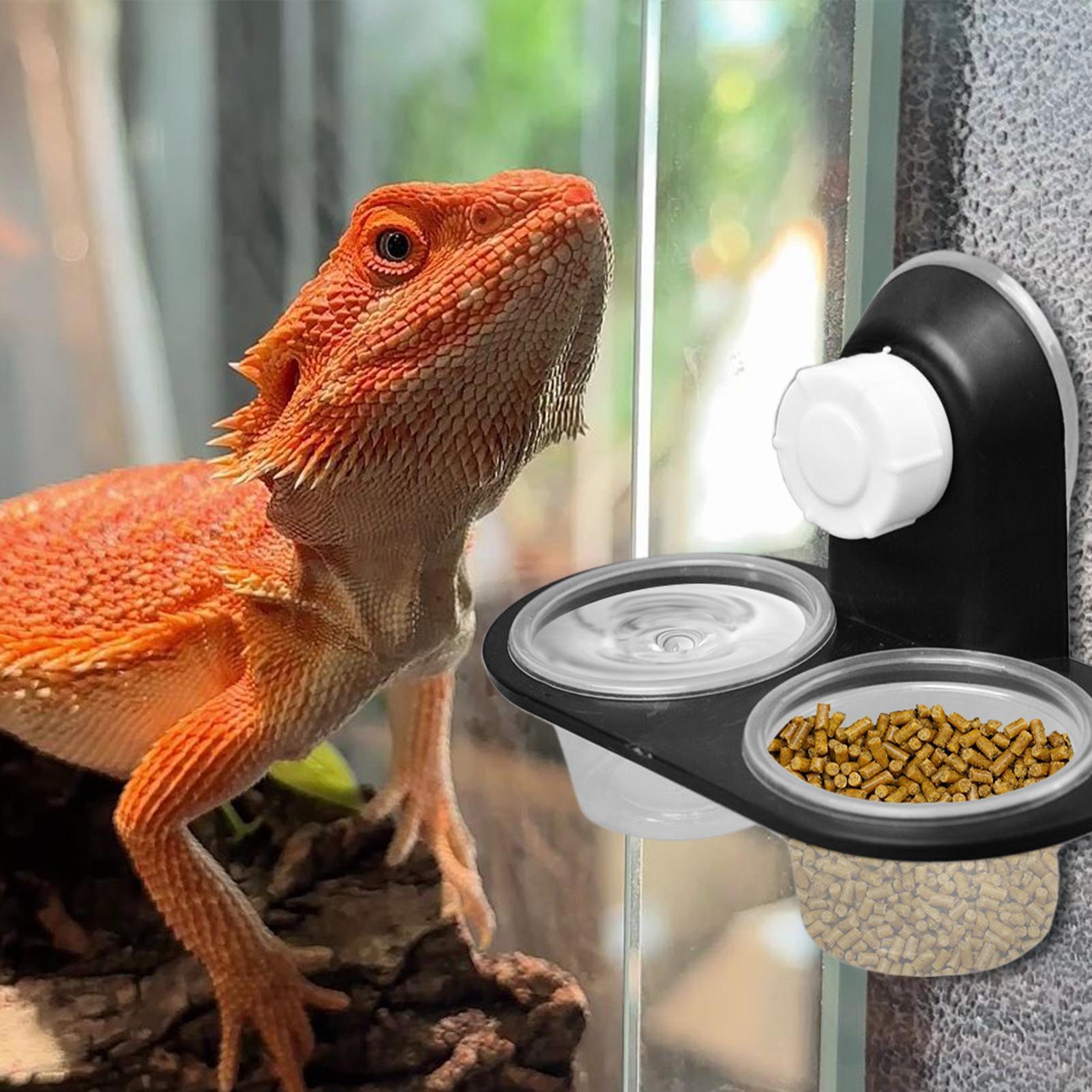 Tempat Makan dan Minum Gecko d - Water Dish Reptile ulasan dan harga