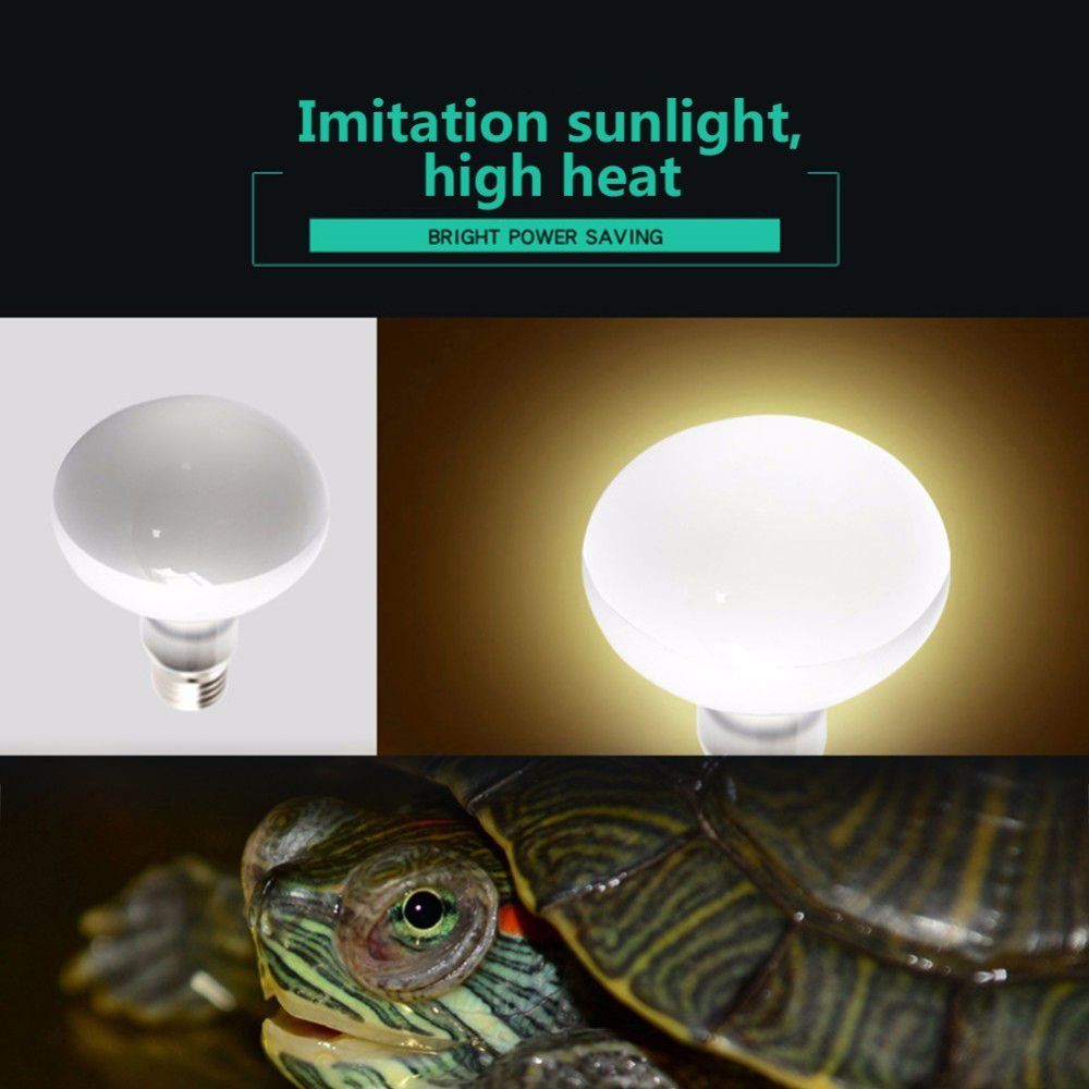 Pengontrol Suhu Pemanas Kura-k - Basking Bulb Halogen ulasan dan harga