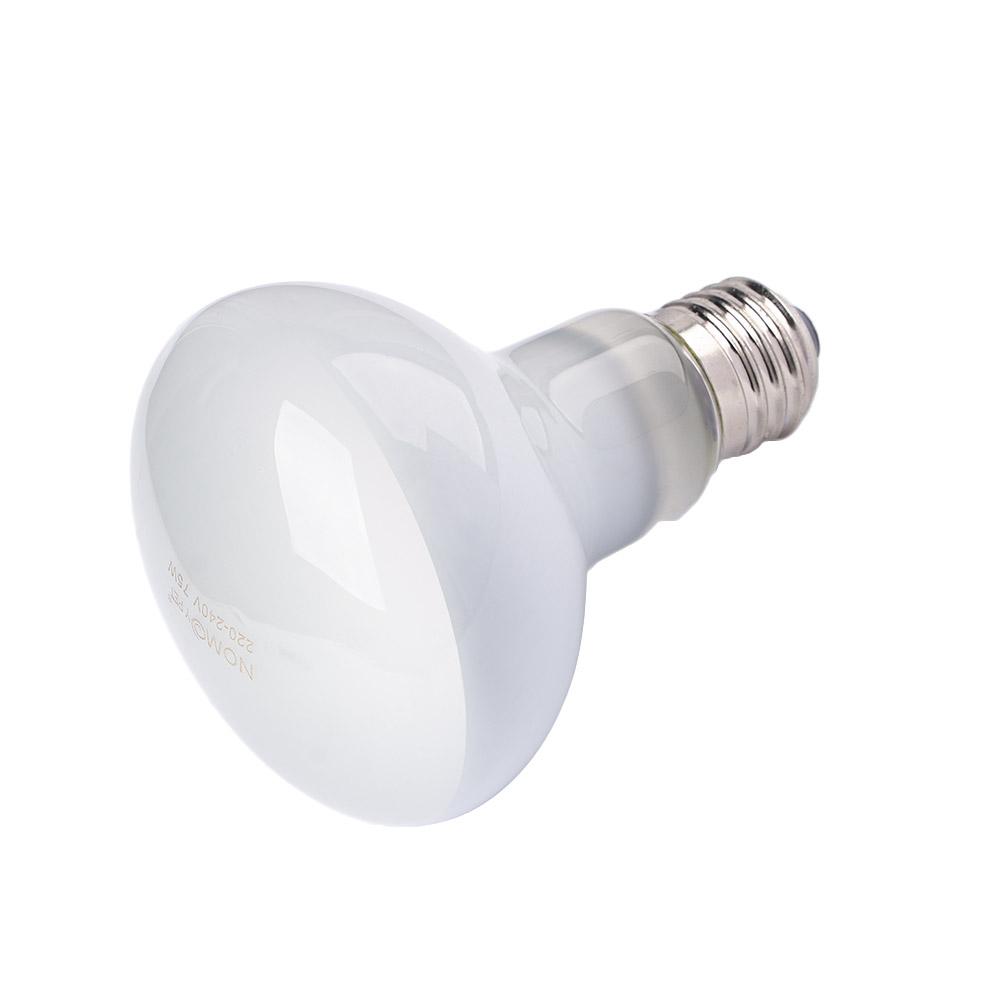 Pengontrol Suhu Pemanas Kura-k - Basking Bulb Halogen ulasan dan harga