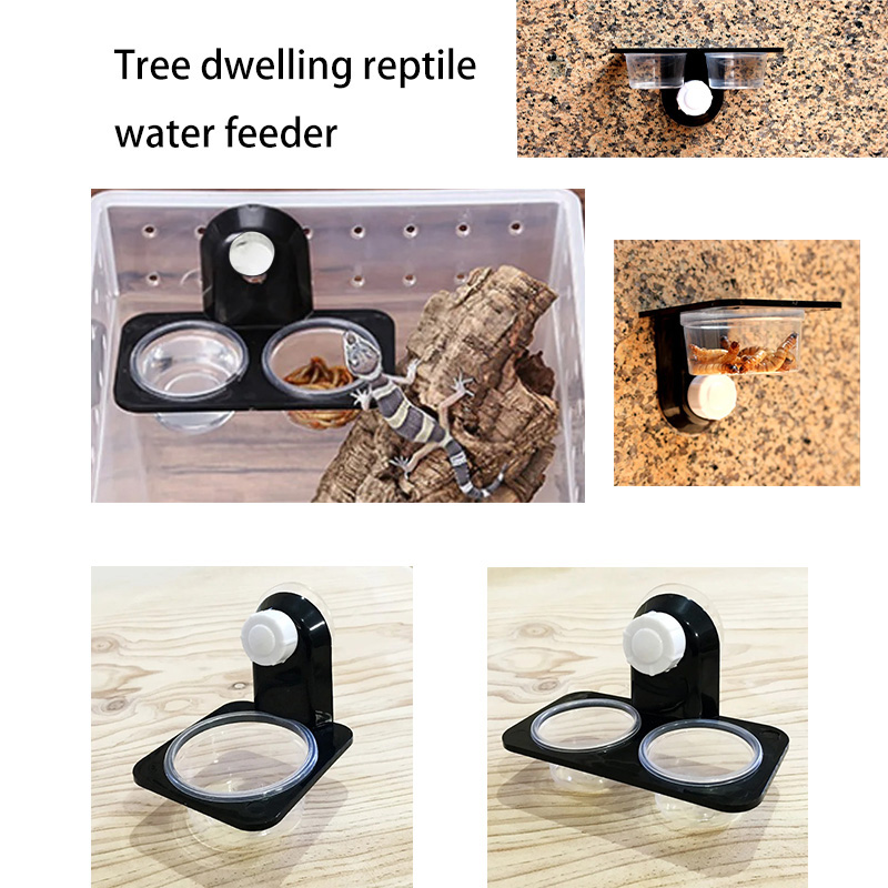 Aksesori tangki reptil sarang  - Water Dish Reptile ulasan dan harga