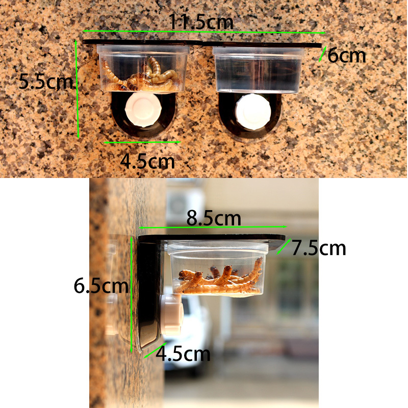 Aksesori tangki reptil sarang  - Water Dish Reptile ulasan dan harga