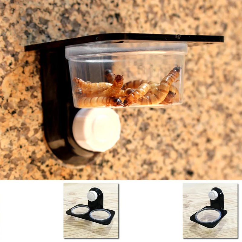 Aksesori tangki reptil sarang  - Water Dish Reptile ulasan dan harga