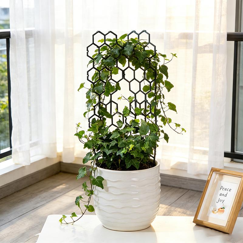 1/5 Buah Desain Sarang Lebah R - Vine Climbing Plastic ulasan dan harga