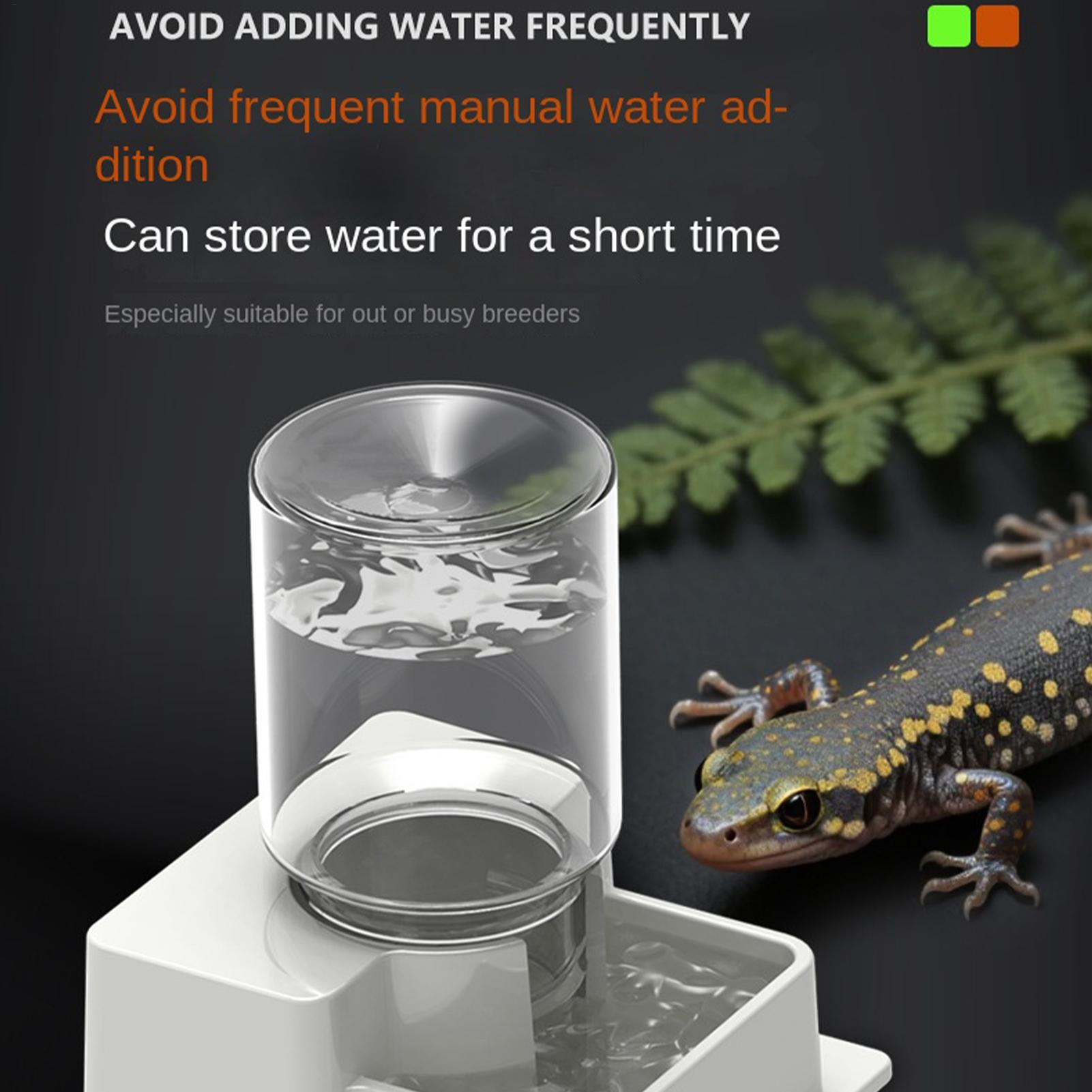Tempat Minum Otomatis untuk Be - Water Dish Reptile ulasan dan harga