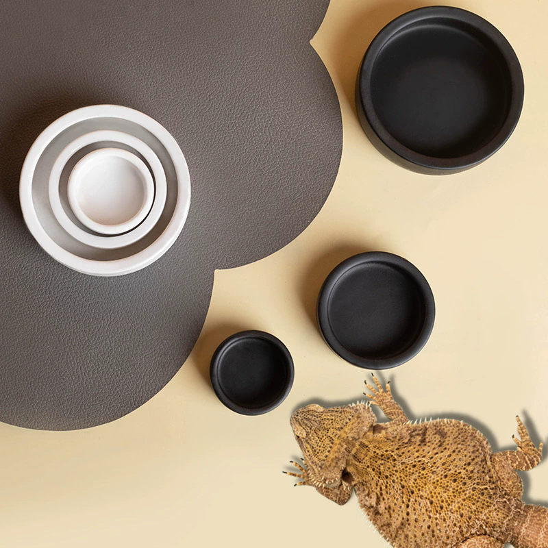PANAS! Mangkuk Makanan Reptil  - Water Dish Reptile ulasan dan harga