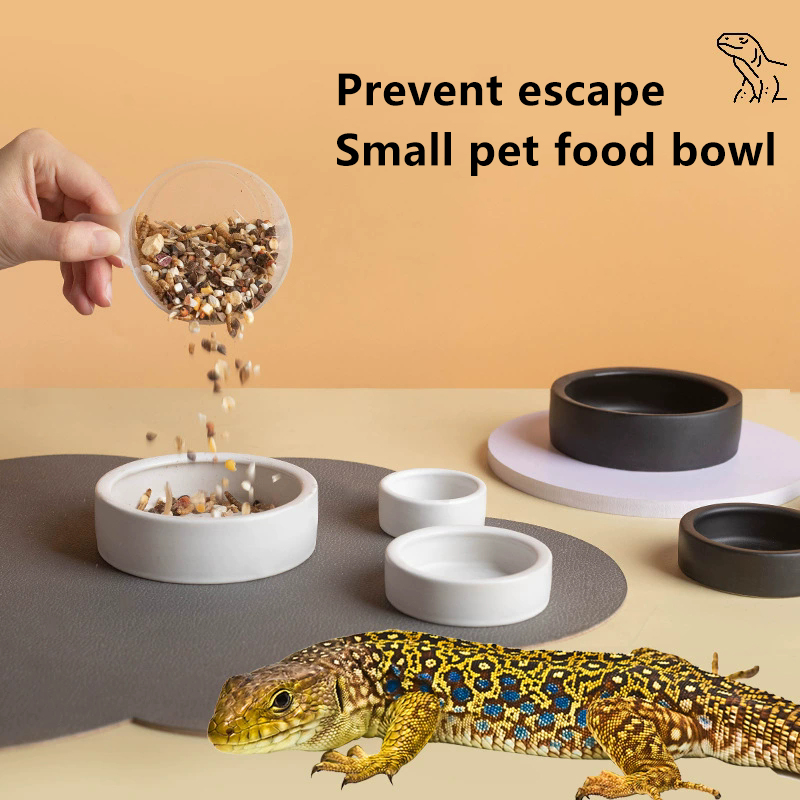 PANAS! Mangkuk Makanan Reptil  - Water Dish Reptile ulasan dan harga