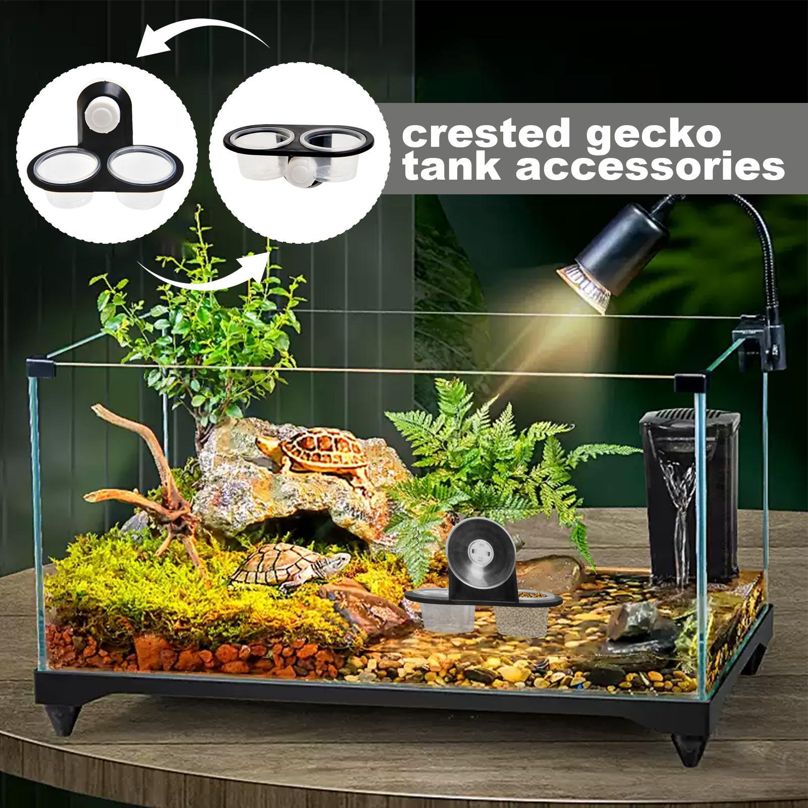 Tempat Makan Gecko dengan Suct - Water Dish Reptile ulasan dan harga