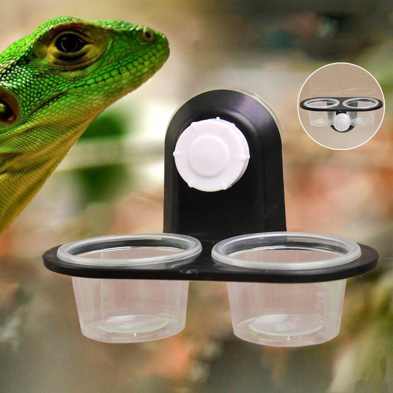 Tempat Makan Gecko dengan Suct - Water Dish Reptile ulasan dan harga