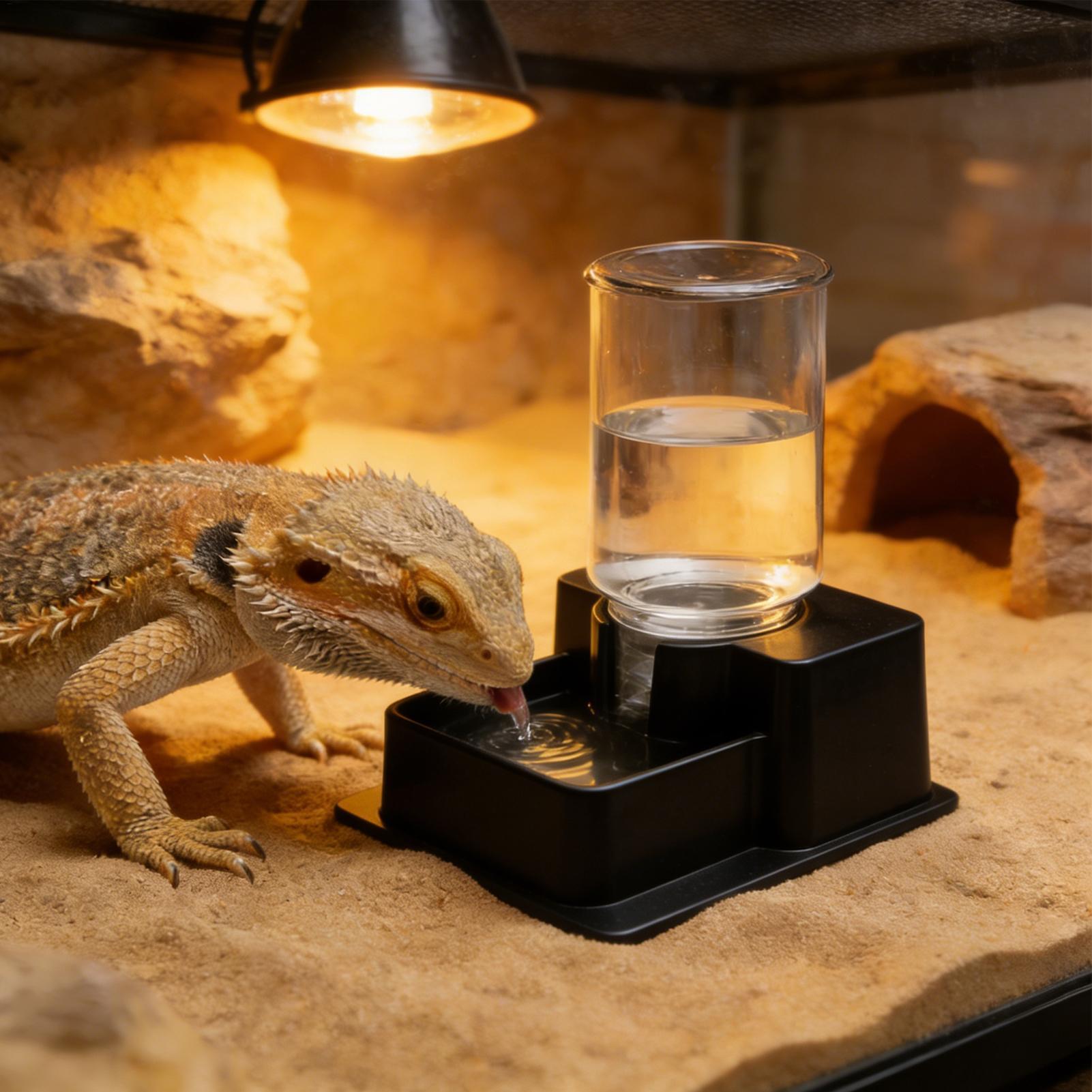 Tempat Minum Otomatis untuk Re - Water Dish Reptile ulasan dan harga