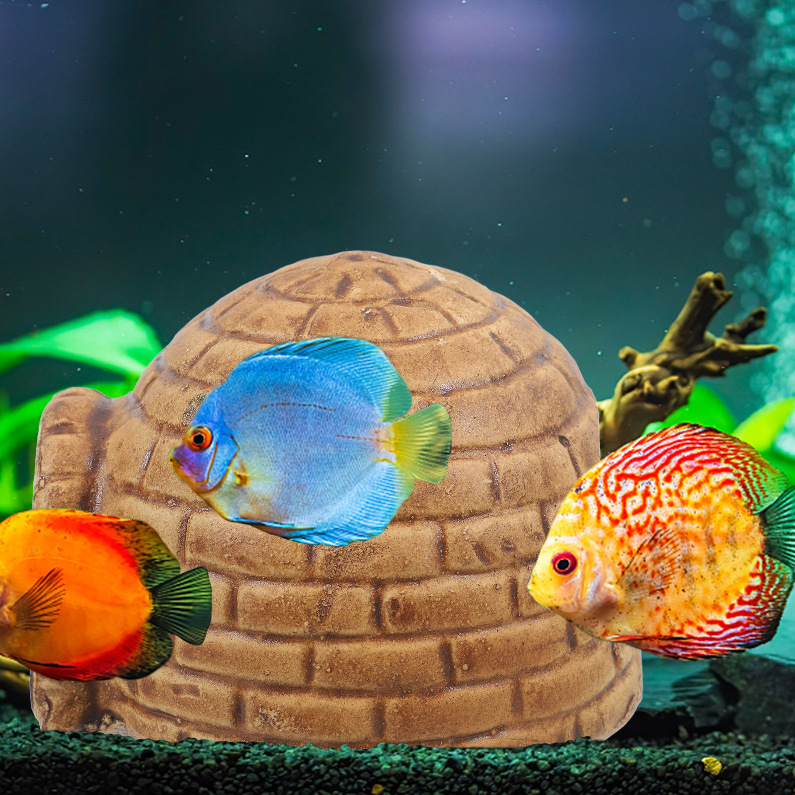 Gua Keramik untuk Ikan Pleco,  - Hide Cave Ceramic ulasan dan harga