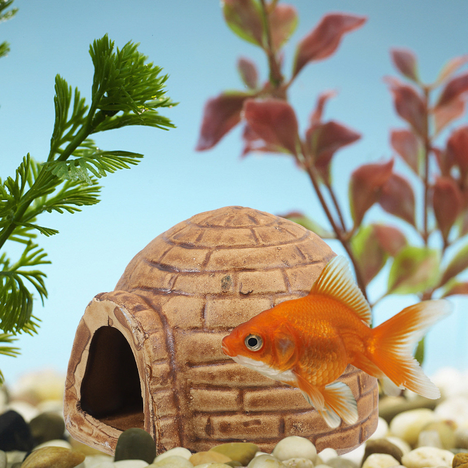 Gua Keramik untuk Ikan Pleco,  - Hide Cave Ceramic ulasan dan harga