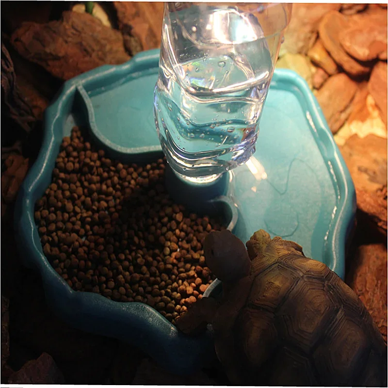 Pengumpan Reptil Hewan Pelihar - Water Dish Reptile ulasan dan harga