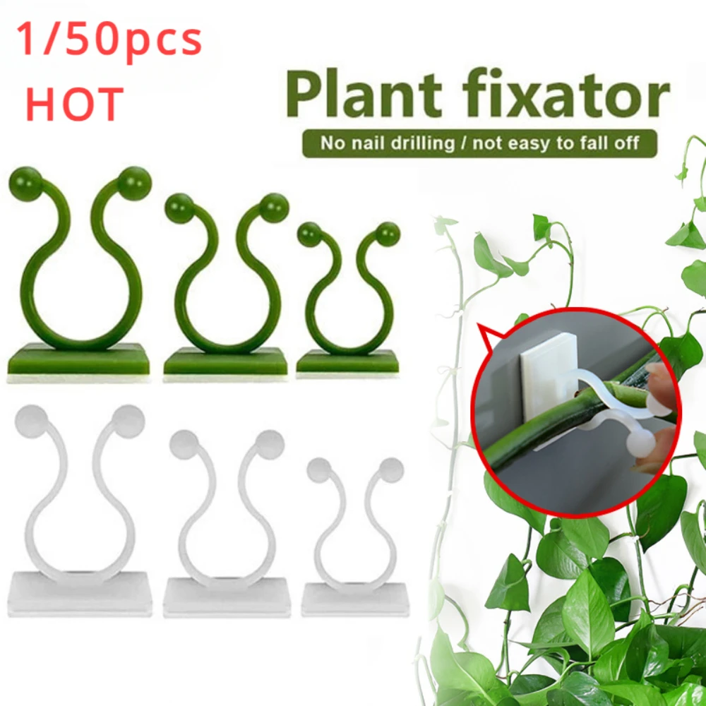 1/30/50 buah untuk pot taman & - Vine Climbing Plastic ulasan dan harga