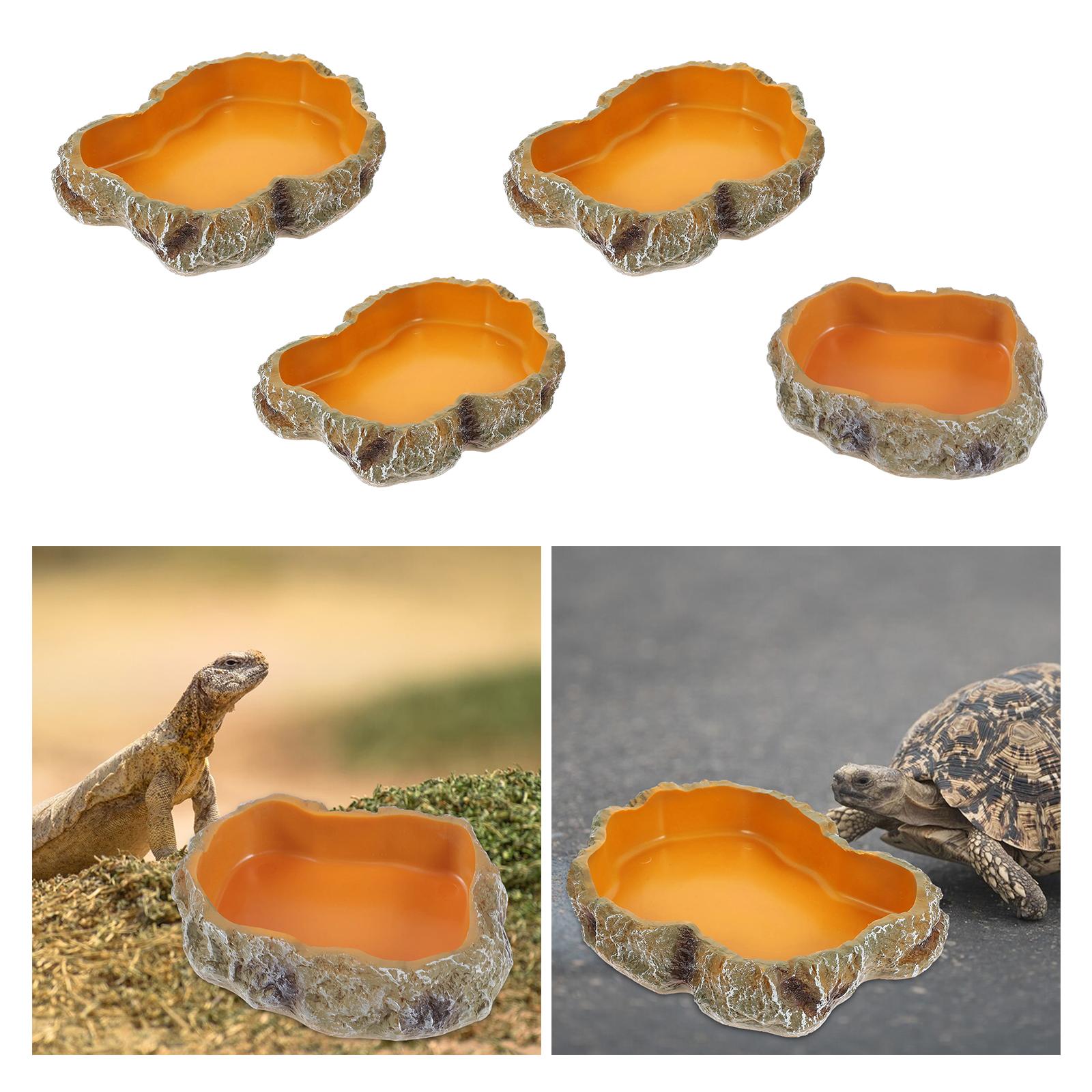 Mangkuk air reptil dekoratif t - Water Dish Reptile ulasan dan harga
