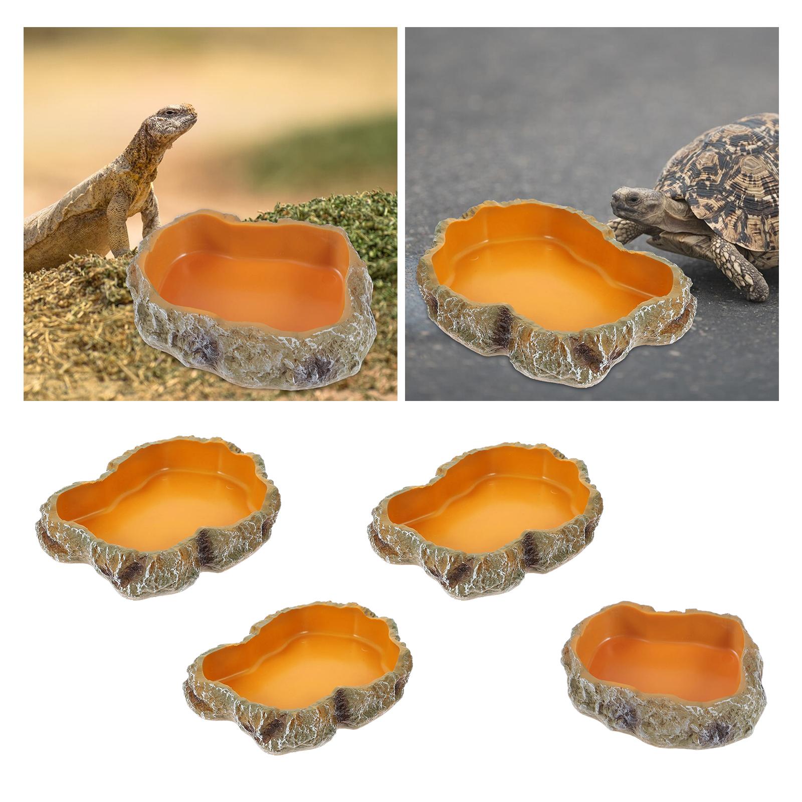 Mangkuk air reptil dekoratif t - Water Dish Reptile ulasan dan harga