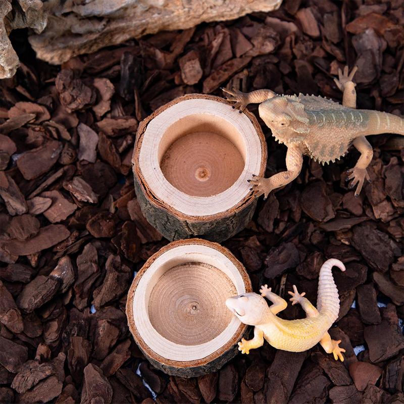 Piring Air Penyu Piring Makan  - Water Dish Reptile ulasan dan harga