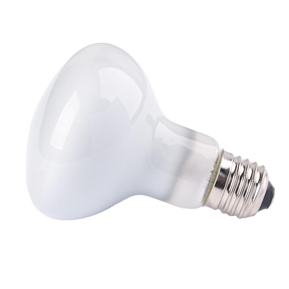 Pengontrol Suhu Kura-kura, Pem - Basking Bulb Halogen ulasan dan harga