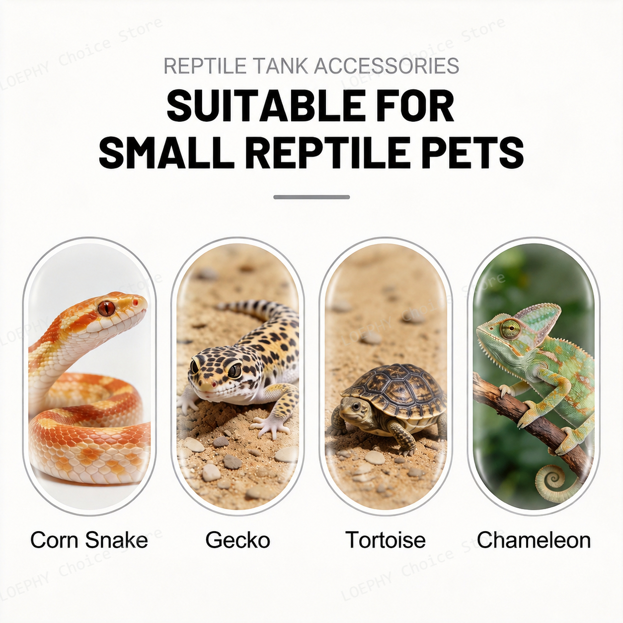 Mangkuk Air Reptil Bentuk Kepa - Water Dish Reptile ulasan dan harga