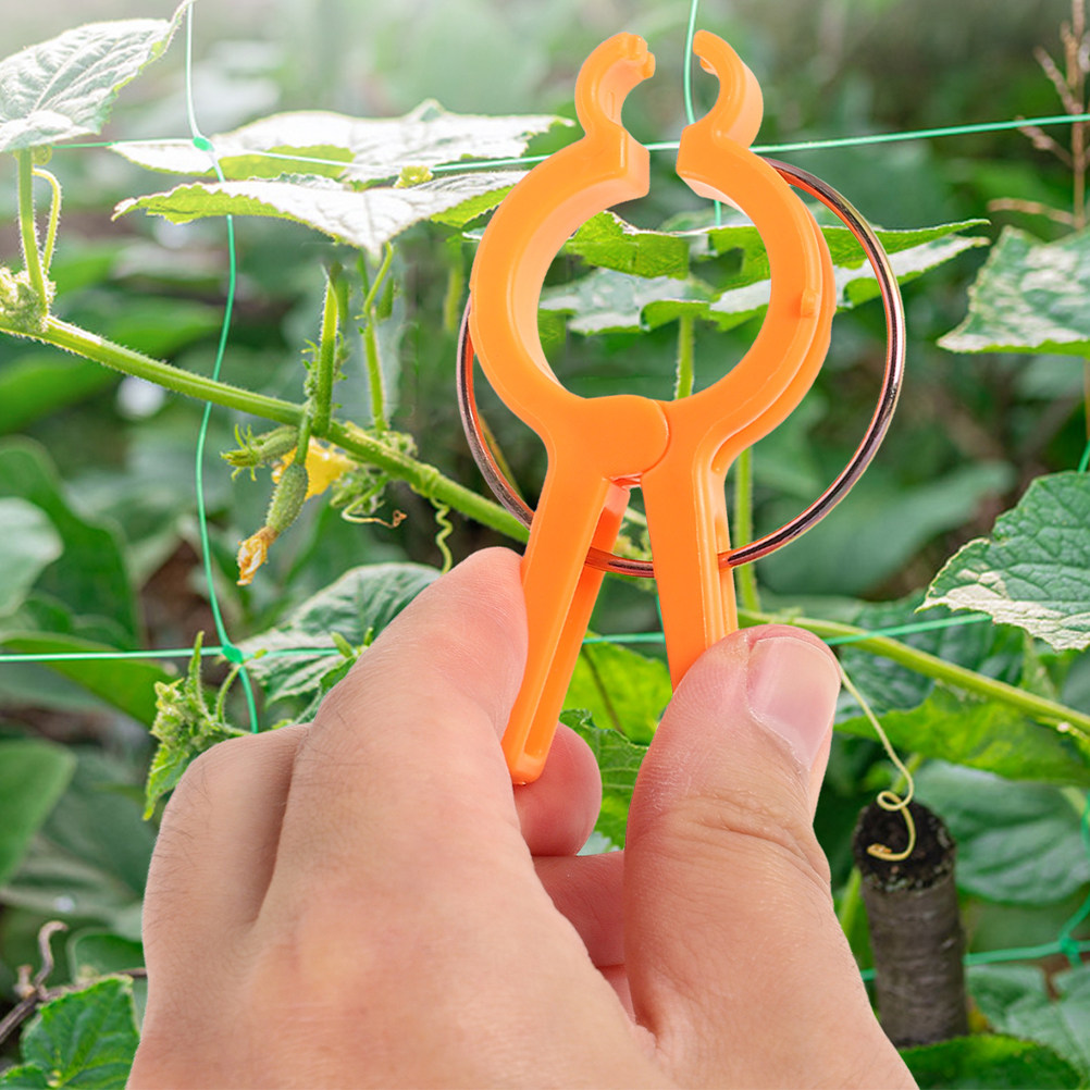 10 Buah Klip Penyangga Tanaman - Vine Climbing Plastic ulasan dan harga