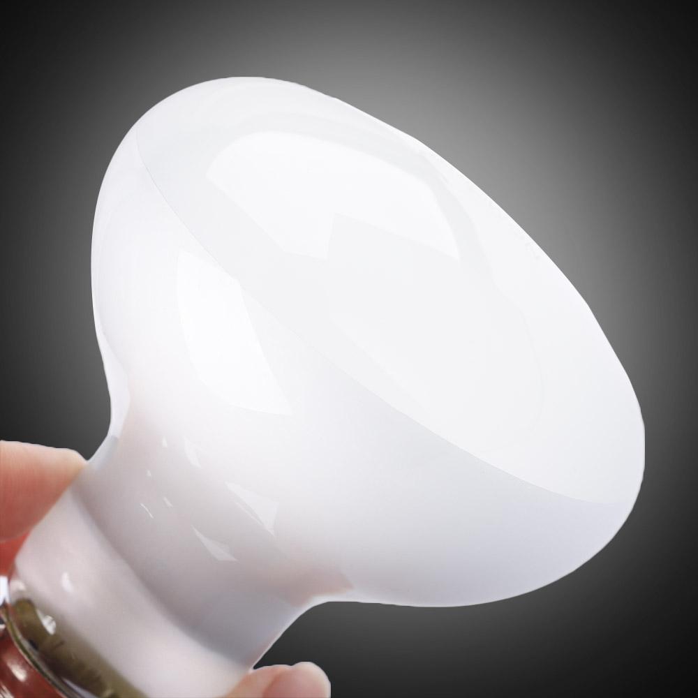 Pengontrol Suhu Lampu Pemanas  - Basking Bulb Halogen ulasan dan harga