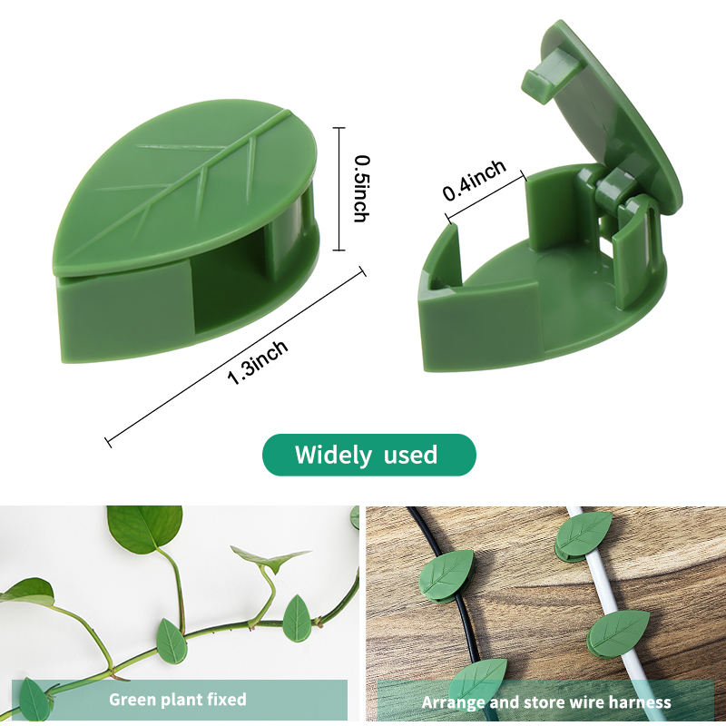 Perlengkapan Memanjat Dinding  - Vine Climbing Plastic ulasan dan harga