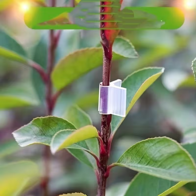 50pcs Klip Penyambung Tanaman  - Vine Climbing Plastic ulasan dan harga