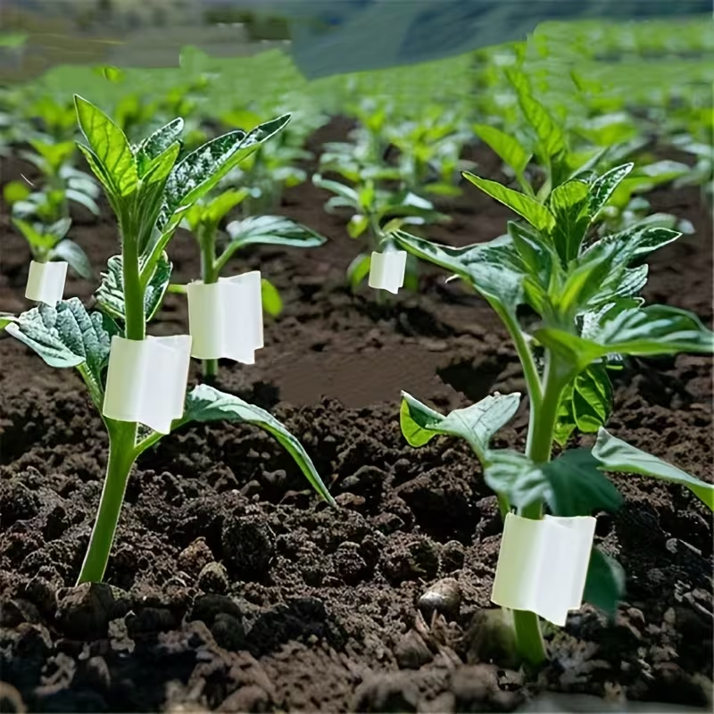 50pcs Klip Penyambung Tanaman  - Vine Climbing Plastic ulasan dan harga