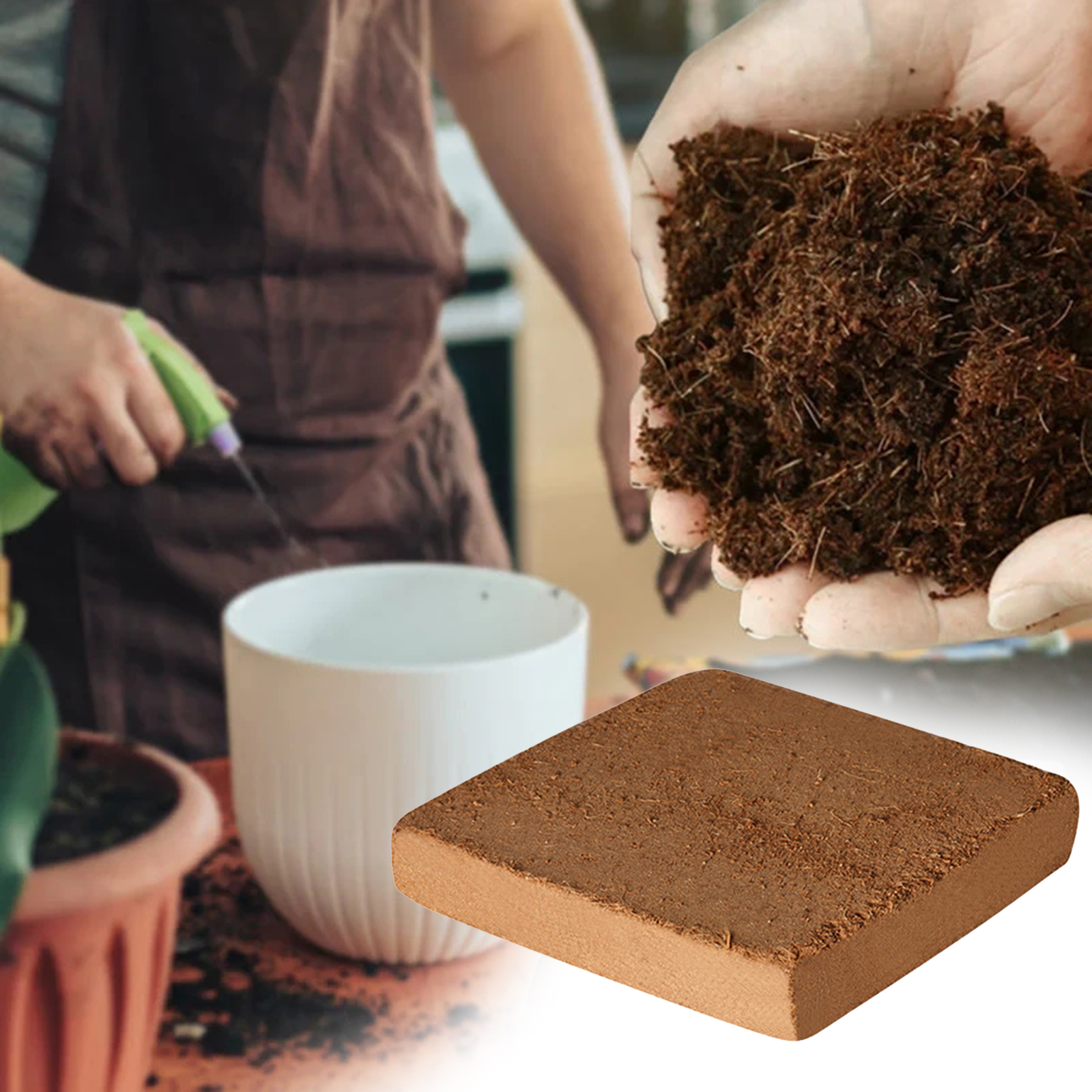 Substrat Terarium Serat Kelapa - Substrate Coconut Fiber ulasan dan harga